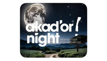 Webseite_akador night.png
